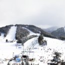 대우사우나 이미지