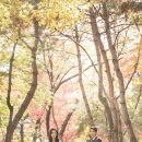 결혼준비) 스드메 결정기 - 플래너 상담후기