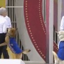 개판이 된 전국노래자랑 진도편 gif 이미지