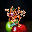 행복한하루