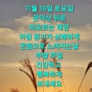 2024년 11월 16일 제74차 새벽 인천 천마산 오후 양구 봉화산 이미지