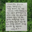 은영슈퍼 | 하다하다 상반기로 퉁쳐버리는 일상