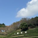 모다다원 이미지