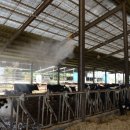 홍성축산 이미지