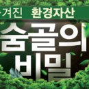 동일리-9 한라일보