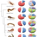 Centipede Venom : Recent Discoveries &amp; Current State of Knowledge/ 한역 이미지