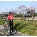 삼향-17 이미지