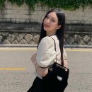 플라이무드 이미지