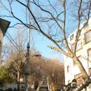 마포걷고싶은길3코스 이미지