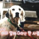 이영란농장 이미지