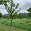 삼지수변공원 이미지