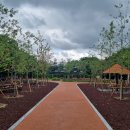 팔룡미관광장 이미지