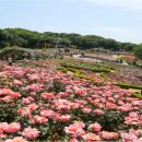 도당동 행정복지센터 이미지