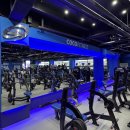 동남세탁 | 동남지구 헬스장 후기 - 운동이 이렇게 즐거울 줄 몰랐어요! 11월 혜택까지 완벽