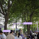 보라매공원 서울국제정원박람회 볼거리인 메타몽 가든 후기