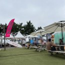 [태안] 만리포해수욕장에서 첫 서핑을, MLP서프(엠엘피서프)정보글과 후기글 그리고 꿀팁 !