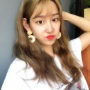 정담민박 이미지