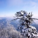 ‘태백산 눈축제’[2024년 1월 27일(음: 12월 17일)일출 7시 41분.일몰17시49분] 이미지