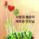 오마낫 산이님~ 이미지