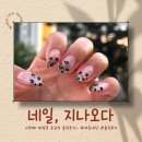 회천사랑 | 양주 덕계역 네일아트 맛집! 회천신도시 [네일,지나오다] 내돈내산 솔직후기!