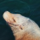 대한치과의원 이미지