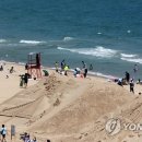 해운대해수욕장 이미지