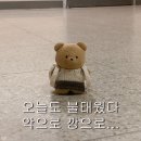낭만 젊은 사랑