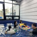 보문에코풀빌라 이미지