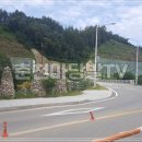 유명낚시 이미지