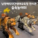 광주 근교 아이랑 가볼 만한 곳 남원백두대간생태교육장 전시관, 숲속놀이터 예약 다녀온 후기