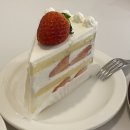 바다곰조해웅 | 내돈내산 창원 가로수길 신상 카페, 유튜버 바다곰조해웅님이 운영하는따끈따끈한 감성 공간에서 힐링...