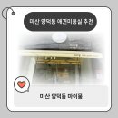 마산애견 | 마산 양덕동 애견미용실 마이뭉 방문 후기 깔끔,친절,예쁨 내돈내산
