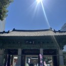 서울 템플스테이로 유명한 불교 절, 봉은사 첫 방문 231001