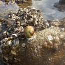 만리장벌 이미지