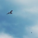 구조라별장 이미지