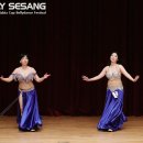 라비아벨리댄스협회 이미지
