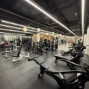 퍼펙트바디 이미지