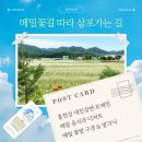 온마을축제) 메타버스 타고 마을 투어(10:00~10:30) | [홍런투어] 메밀꽃길 따라 삼포 가는 길 ㅣ 홍천동키마을 메밀꽃 축제 참여하고 홍런투어까지!