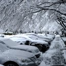 눈이 내린 아침 양천공원1 이미지