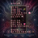 향기심리코칭 이미지