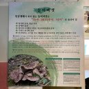 다~놀자 | 봉곡동 오리백숙 맛집 천지랑놀자 구미김천점 백숙 후기