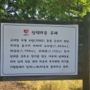 산덕마을회관옆 이미지