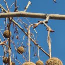 마포, 걷고싶은길 6코스 이미지