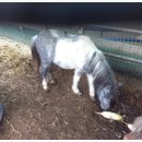 성인이 돼서 다시 배우는 한국사 | 김해승마랜드 창원 BK승마클럽 체험, 아이들이 배우는 승마의 즐거움!