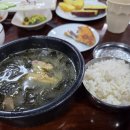 챔피언골프 | [골프] 베트남 하노이 피닉스CC 12월 라운드 및 리조트 후기_챔피언/드래곤/피닉스 코스