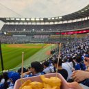 대승디자인 | 인천 SSG 랜더스필드 3루 내야필드석 115블럭 K열 시야 후기⚾ 삼성라이온즈 원정 직관 다녀왔어요!