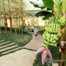 신기어린이집 이미지