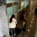 로뎀태권도 이미지