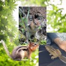 청정골 관광농원 이미지