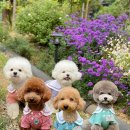 운동장가든 이미지